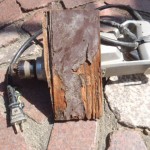 シロアリに食べられた跡