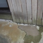 シロアリ駆除 ポイント