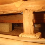 シロアリ 症状 蟻道