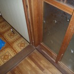 シロアリ 蟻土(ぎど)