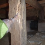 シロアリ 建物 ゆがみ