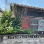 庭の雑草とシロアリ