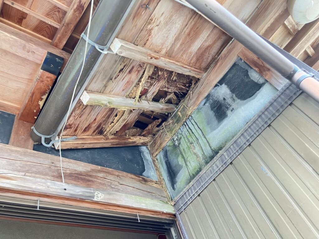 屋根近くの木部まで進行したシロアリ被害