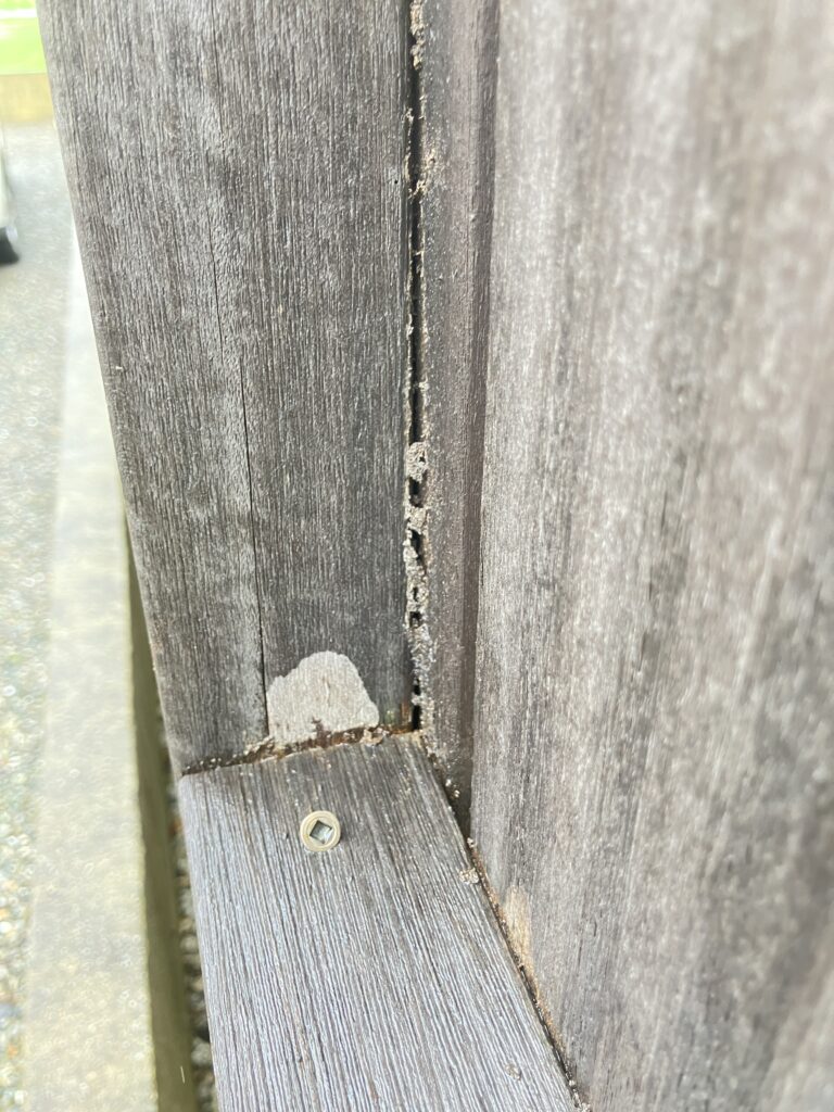伊勢市小俣町 木製フェンスに作られたシロアリの蟻道
